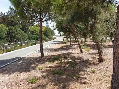 Photo de Merendero carril bici