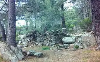Bergeries ruinées de Capeddu