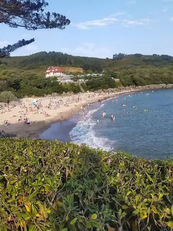 Photo de Playa de la Arena