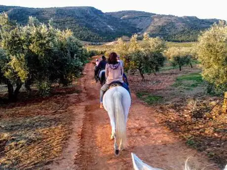 Photo de Equestrian Center Los Alayos