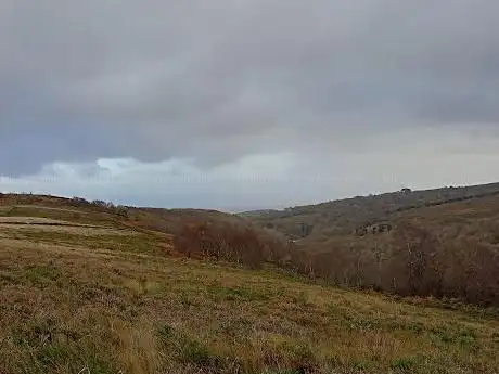 Dowsborough