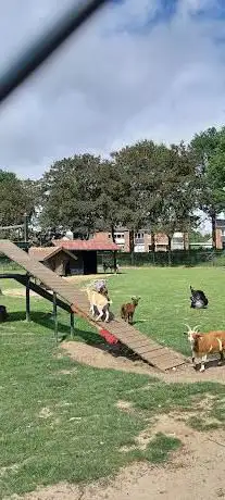 Photo de Mini zoo