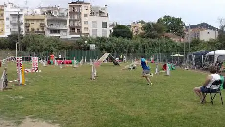 Photo de Club Agility Maresme