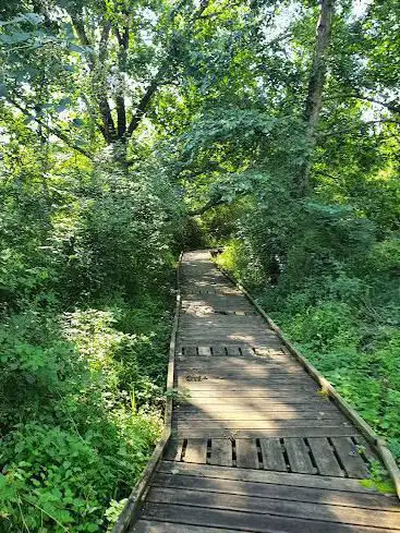 Photo de Réserve naturelle du marais de Groléjac