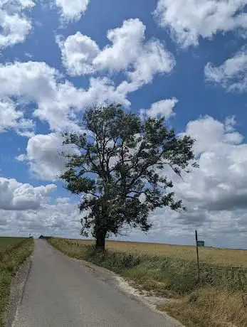 Photo de Farley's Tree
