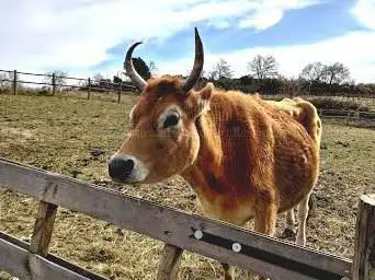Photo de Ferme Saint Roch