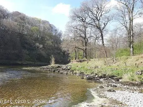 Photo de Grass Wood Nature Reserve