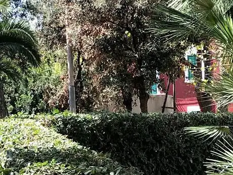 Photo de Villa Camomilla