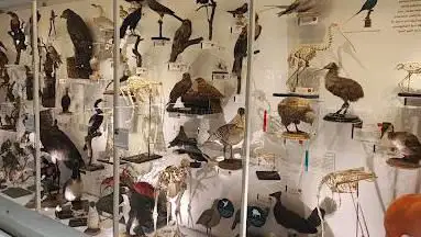 Photo de University Museum Of Zoology