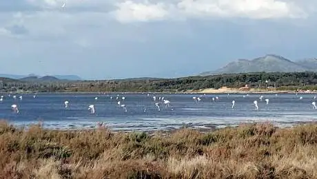Sa Punta De S'Aliga