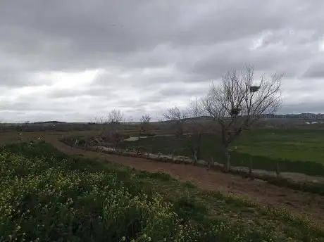 Photo de Villa Romana de la Torrecilla