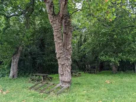 Picnic & Rest Place