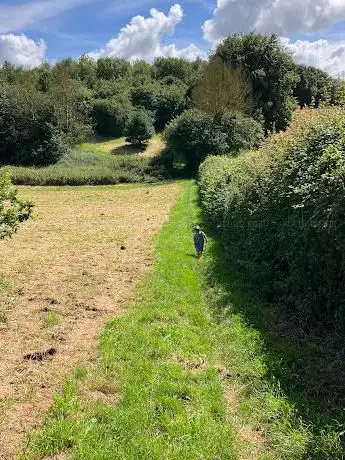 Cross Land Wood