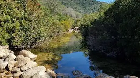Foresta demaniale di Pixinamanna