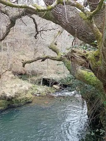 Photo de Cascadas del rÃÂo Troja