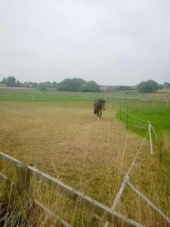 Braemar Equestrian Centre