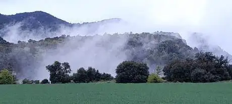 Roca Delfín