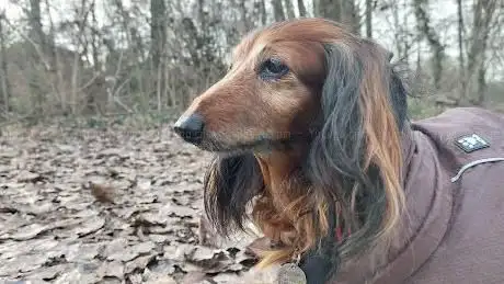 Oasi Bosco di Montorfano