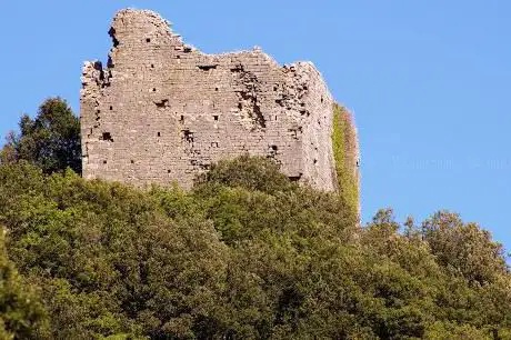Photo de Castello di Montegrossi