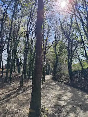 Photo de Antigua Taberna para Pereginos  Balcaide