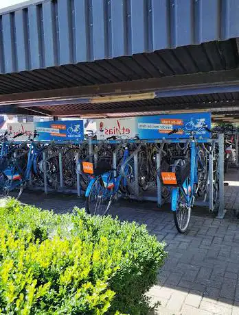 Blue-Bike Oudenaarde