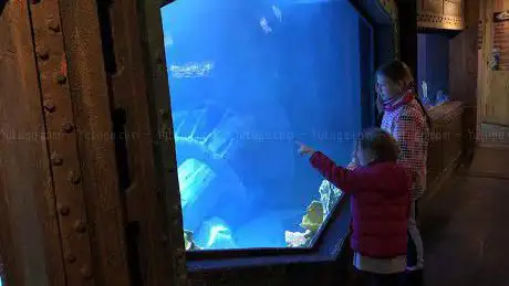Aquarium d'Amnéville