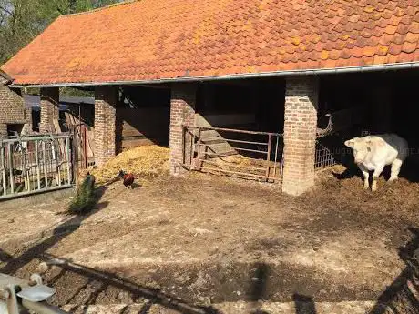 Herisemmolen / Voormalige Kartonfabriek Winderickx