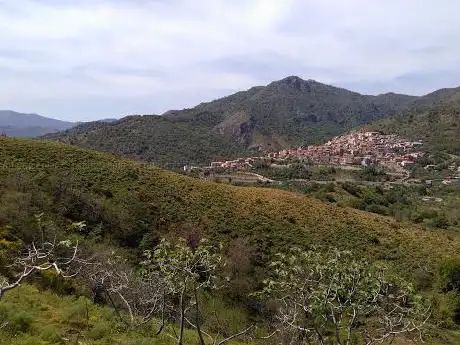 Photo de Monte Mojo