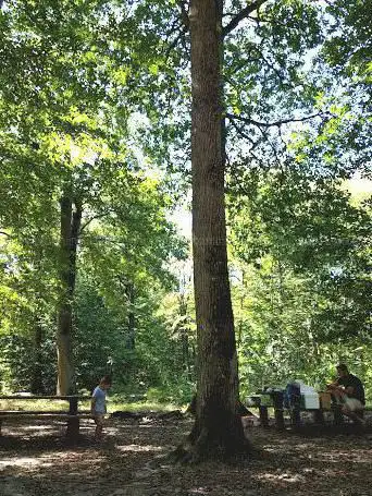Photo de Forêt de Dourdan