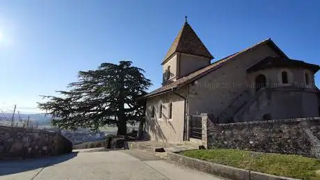 Photo de Église de Luins