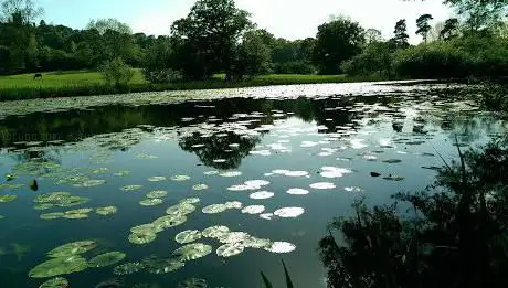 Abbey Pool