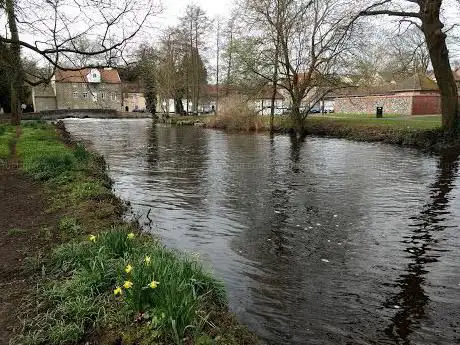 Photo de Butten Island Thetford