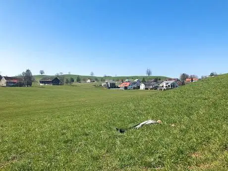 Spitzen