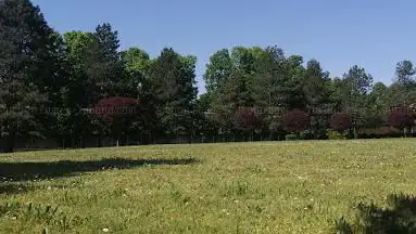 Photo de Parc du centre culturel Wladimir d'Ormesson