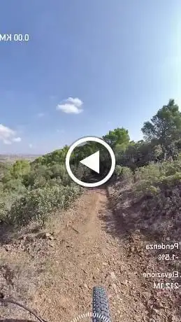 Single MTB