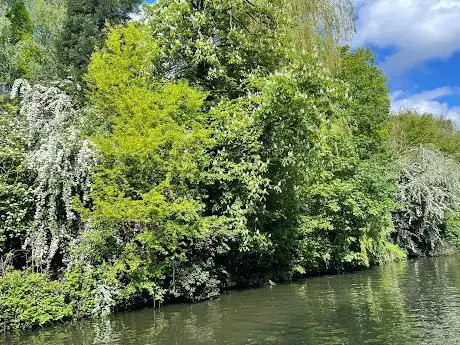 Photo de Little Venice