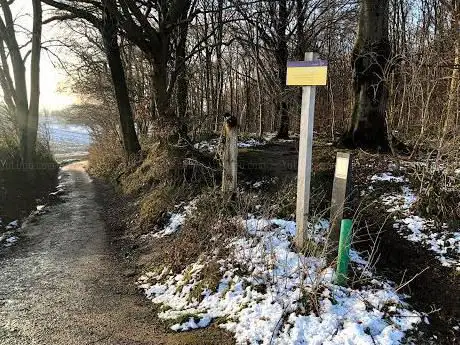 Het Oude Bos (D'r Ouwe BÃ¶sj)