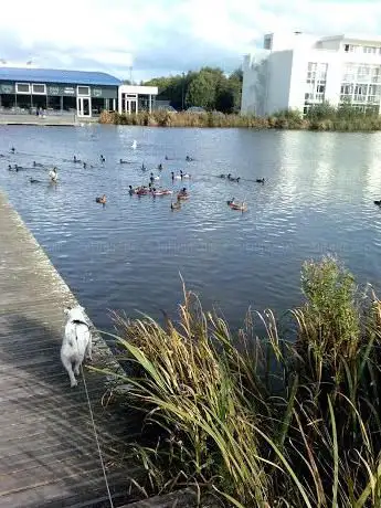 Photo de Lac du Citis