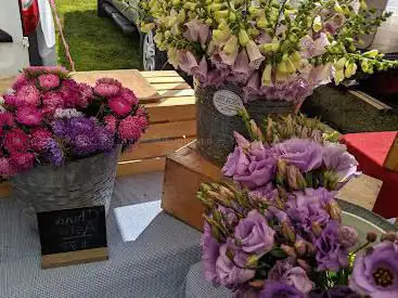 Photo de Brunswick-Topsham Land Trust Farmers' Market