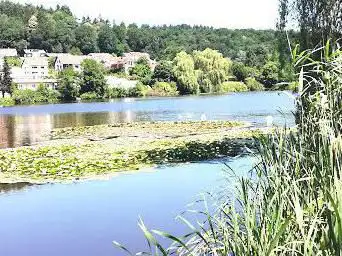 Photo de Naturerholungsgebiet Niederwürzbach