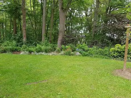 Photo de Parc de l'Hermitage