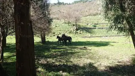 Photo de Demanio delle Caronie c/da Baiardo