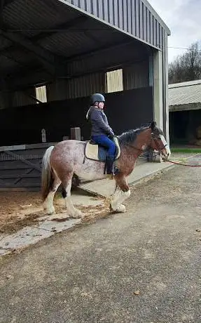 Photo de Middleton Park Equestrian Centre-Riding for the Disabled