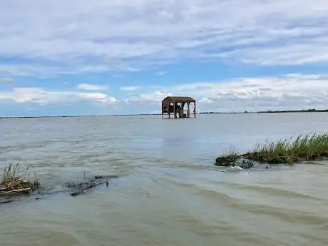 Photo de Escursioni nel Delta con Willy