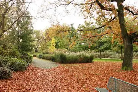's Herenbeemden