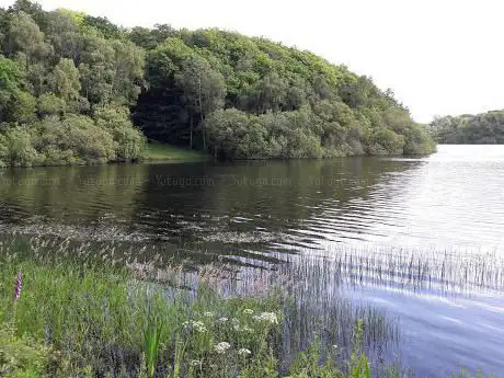 Powdermill Reservoir