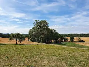 Photo de Dreieckiges Wäldchen