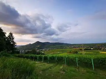 Aussichtspunkt Rheinebene & Schwarzwald
