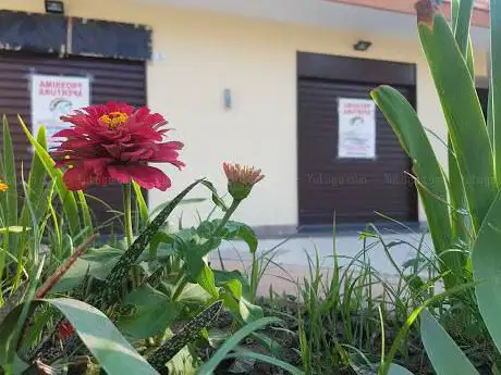 Associazione Cresciamo Insieme