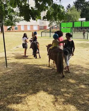 Photo de Centre Équestre de Bretigny-sur-Orge Ame Horse